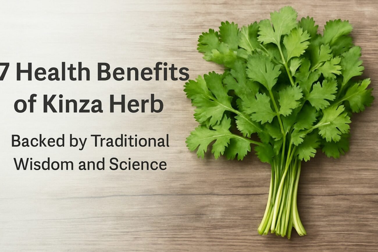 kinza herb